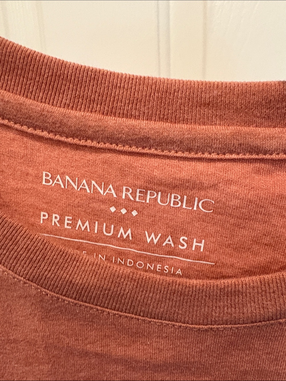 Banana Republic Premium Wash Tee — Burnt Sienna - Picture 3 of 4